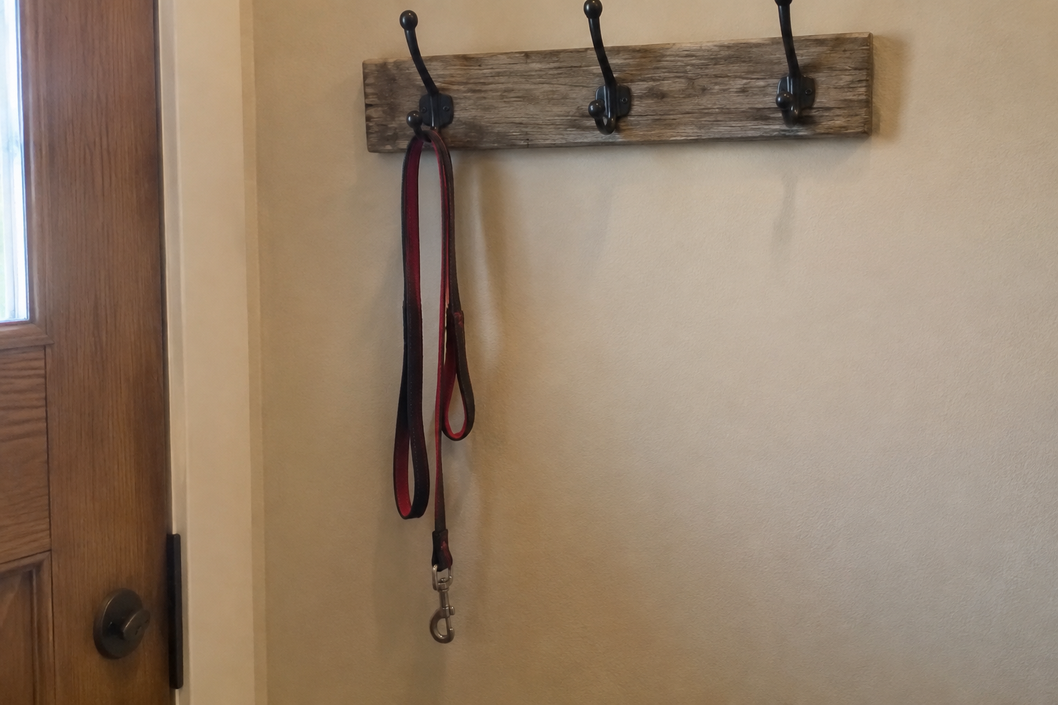 Illustration of a dog leash hanging from a wall hook.